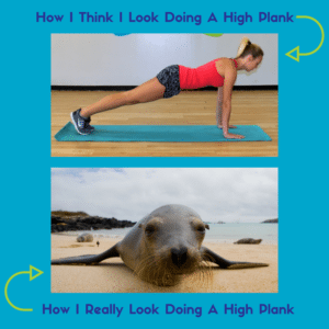 How I Think I Look Doing A High Plank